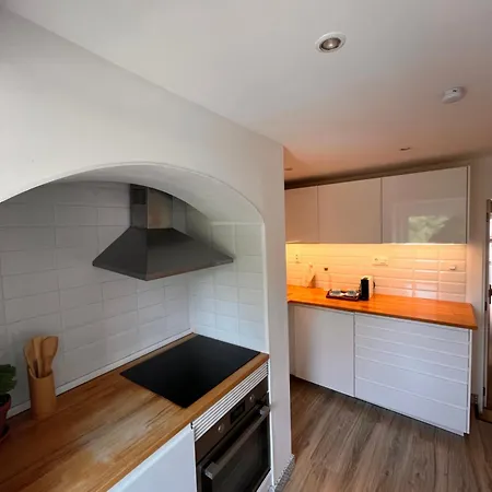 Botanical Gardens Principe Real Apartment Lisbon