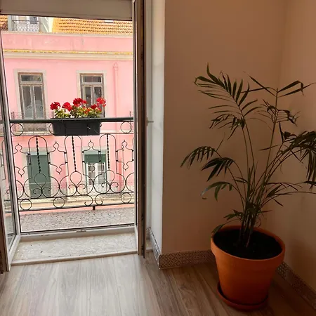 Apartment Botanical Gardens Principe Real