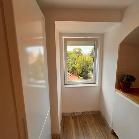 Botanical Gardens Principe Real *