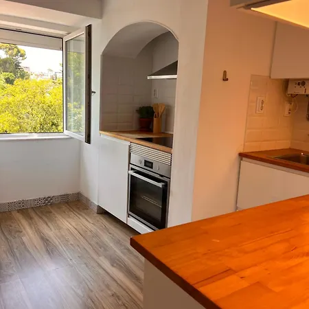 Apartament Botanical Gardens Principe Real